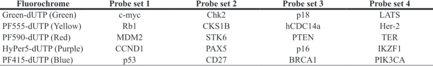 Table 3: The 20 genes targeted with four sets of five-colour FISH probes