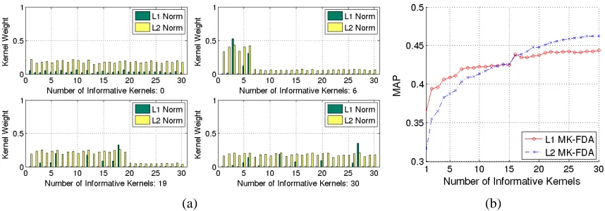 Figure 2: VOC2008: (a) Learnt kernel weights in ℓ1 MK-FDA and ℓ2 MK-FDA. “motorbike” class.(b) MAPs of ℓ1 MK-FDA and ℓ2 MK-FDA with various composition of kernel set.