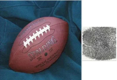 Fig. 5 : Original Cover image and finger print as watermark