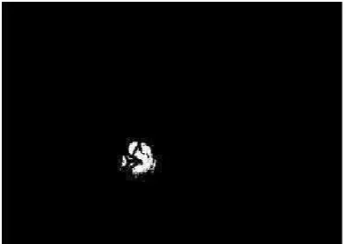 Figure 2.3 Output Normal Binary Image  