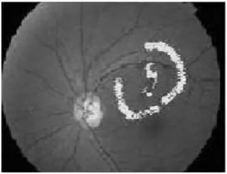 Figure 3. REFERENCE IMAGE 