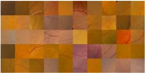 Figure 6. TRAINING IMAGE FOR BACK GROUND 