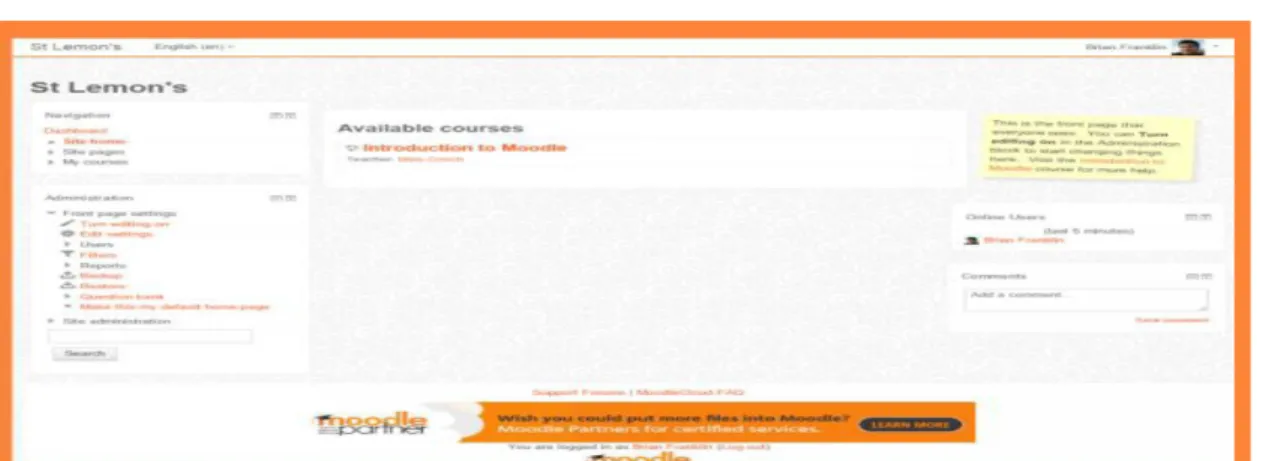 Fig. 7: A standard site customized from the admin interface