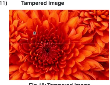 Fig.18: Tampered Image 