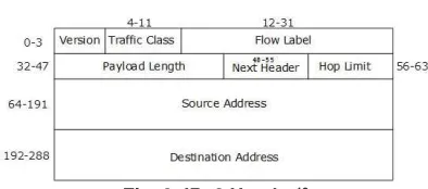 Fig. 8: IPv6 Header19