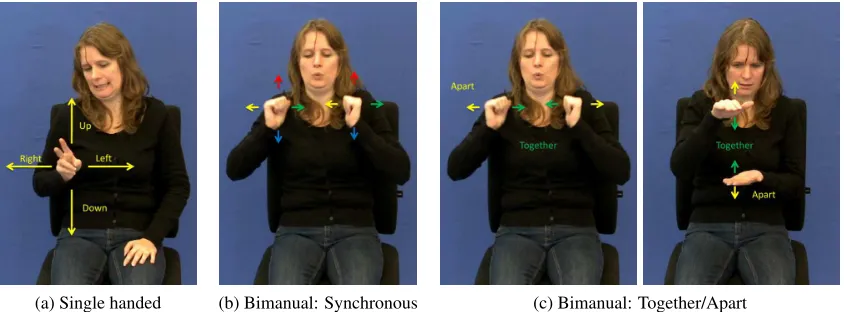 Figure 7: Motions detected from tracking