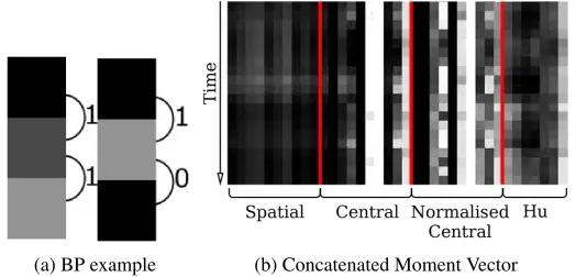 Figure 4: Moment vectors and Binary Patterns for two stage classiﬁcation. (b) A pictorial descrip-tion of moment vectors (normalised along each moment type for a selection of examples),the lighter the colour the larger the moment value