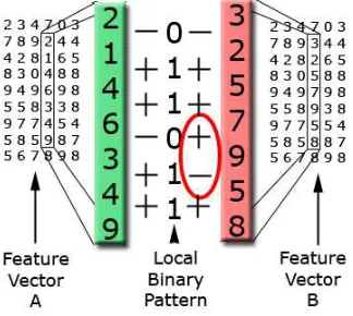 Figure 5: An example of a BP being used to classify two examples. A comparison is made betweenthe elements of the weak classiﬁers BP and the temporal vector of the component beingassessed