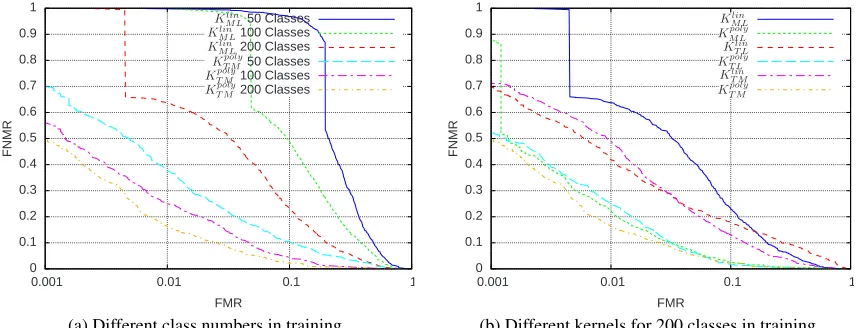 Figure 1: DET curves for double interval task
