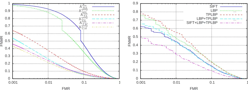Figure 2: DET curves for LFW data set