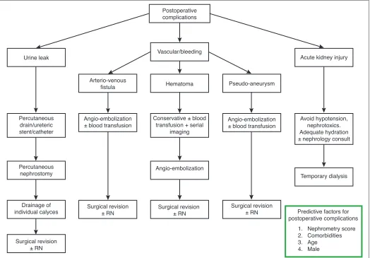 Fig. 2. Management algorithm for postoperative complications specific to robotic-assisted partial nephrectomy