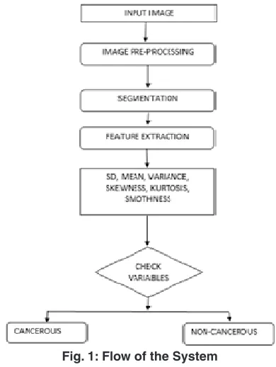Fig. 1: Flow of the System