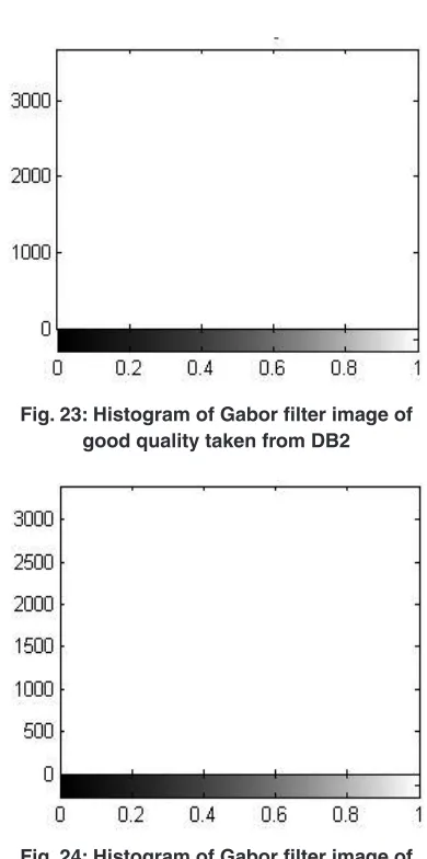 Fig. 24: Histogram of Gabor filter image of poor quality taken from dB2