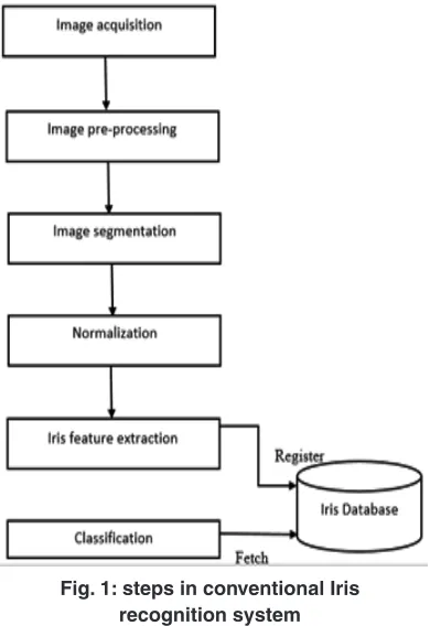 Fig. 1: steps in conventional Iris 