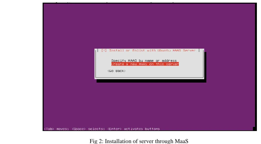 Fig 2: Installation of server through MaaS 