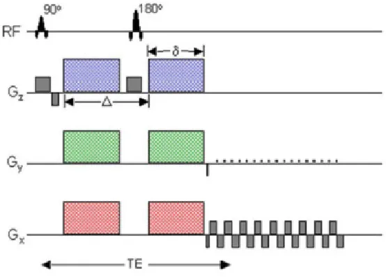 Figure 1: The pulsed-gradient, spin echo pulse sequence 