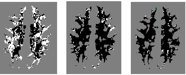 Figure 4: difference in dyads dispersion between protocols with white meaning the first protocol has higher dyads dispersion and black the second protocol has higher dyads dispersion