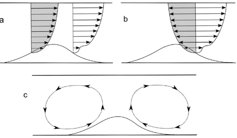 Figure 2.4: Flow ﬁeld upstream and downstream of a sand wave for ﬂow in one direction (a), ﬂowﬁeld on one side of a sand wave for ﬂow in ebb and ﬂood directions (b) and vertical recirculating cells(exaggerated) as a result of a tide averaged ﬂow on both sides of a sand wave (c) (Choy, 2015)