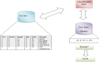 Figure 2. Model Usage (Classification) 