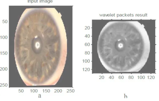 Fig. 5: Wavelet packets for iris image