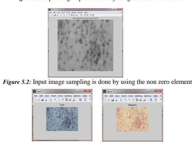 Figure 5.2: Input image sampling is done by using the non zero elements 