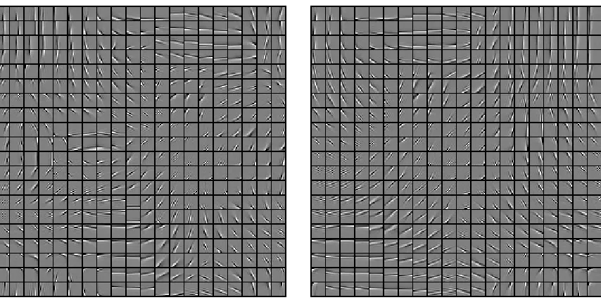 Figure 5: Topographic dictionaries with 400 elements, learned on a database of 12 × 12 whitenednatural image patches with 3×3 (left) and 4×4 (right) cyclic overlapping groups.