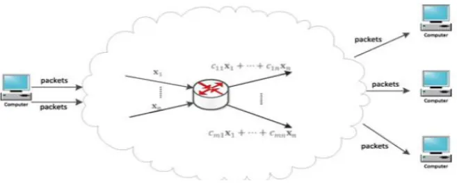 Figure 1: Secure Network Coding  
