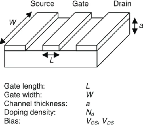 Figure 3.1 A physics-based FET.