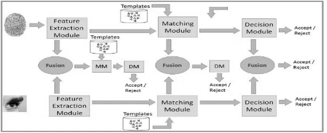 Figure 2 shows how multimodal biometric system works.  
