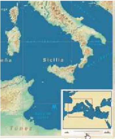 Fig. 7: Dynamic navigation tools; change of location and scale. [21 ] 