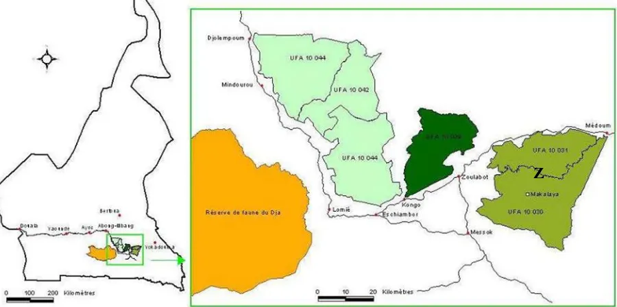 Figure 1: Location of the forest concession made up of FMUs 10.030 and 10.031 (Pallisco FMU Management Plan,  2015) Z: study area 