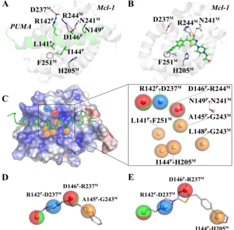 Figure 1:  Key interactions at the interfaces of (A) Mcl-1-PUMA and (B) Mcl-1-Comp8 complexes