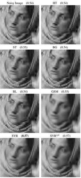 Figure 9: Visual results for the ‘Barbara’ image with coarse quantization JPEG2000 noise