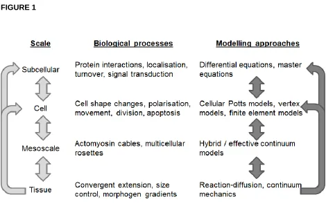 FIGURE 1 