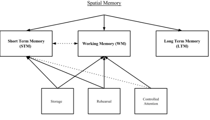 Figure 3: Overview of spatial memory containing three components: short-term memory, long-term memory, and working memory (Conway et al., 2005)