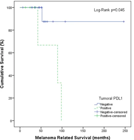 Figure 4: Survival analysis according to PD-L1 status in CM.   Kaplan-Meier plot shows disease-specific survival of patients  with PD-L1-positive tumors (green, dotted) and negative tumors (blue, continuous) (cut-off at 5%)