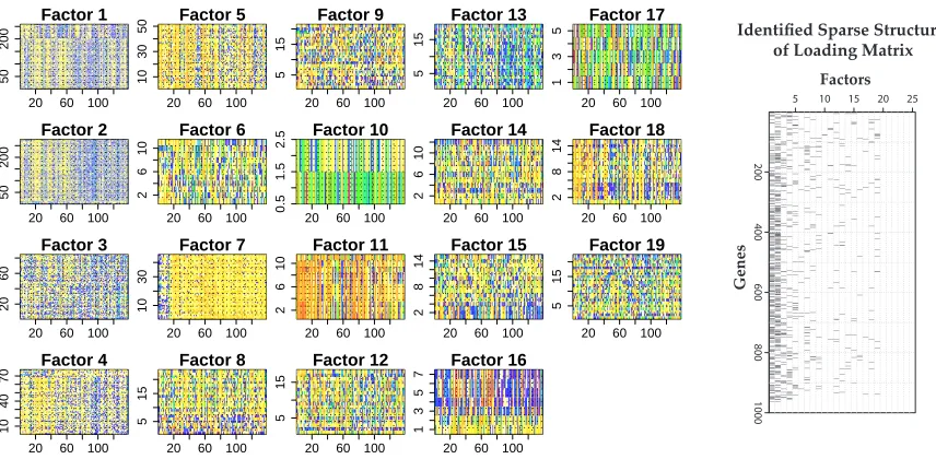 Figure 9: Identiﬁed factor probes (left) and sparse structure (right; binary matrix). In each image ofthe left panel, expression signatures of the probes associated with each factor are depictedacross 138 samples (ordered along horizontal axis).