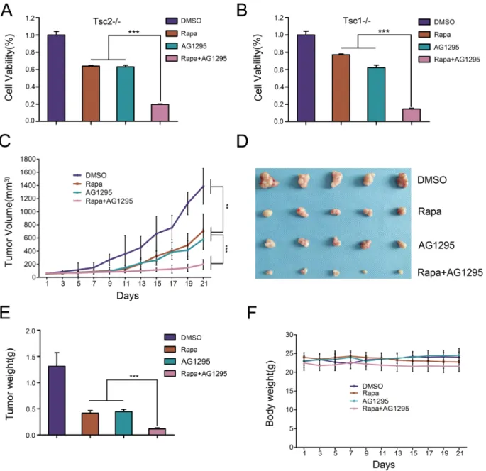 Figure 6: The combination of rapamycin and AG1295 more effectively suppresses the growth of cells lacking TSC1/ TSC2 complex in vitro and in vivo than  either agent alone