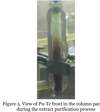 Figure 5. View of Pu-Tc front in the column packing  
