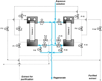 Figure 6. Scheme of the flow lines of the liquid 