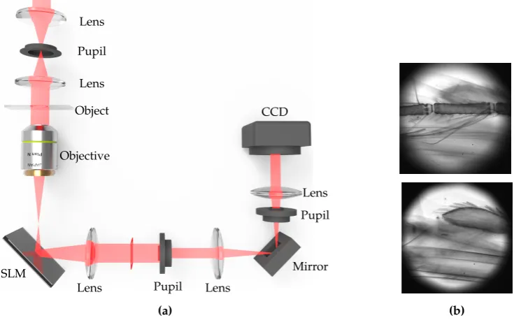 Table 1. Comparison of light ray ﬁeld reconstruction techniques.