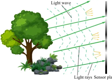 Figure 2. Relationship between light ray and wave.