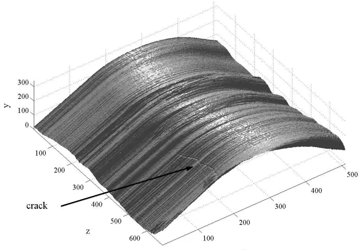 Figure 5: Acquired surface data with an embedded crack.