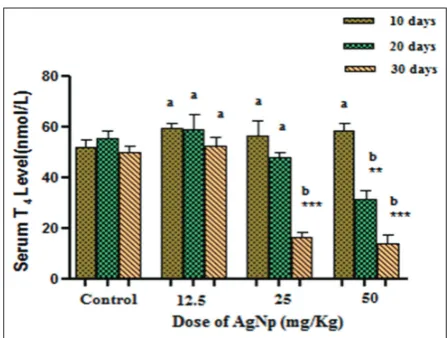 Fig. 1: Effect of different silver nanoparticles concentrations on the thyroid gland weight at different exposure periods