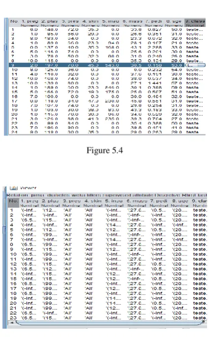 Figure 5.4 After Discretization 