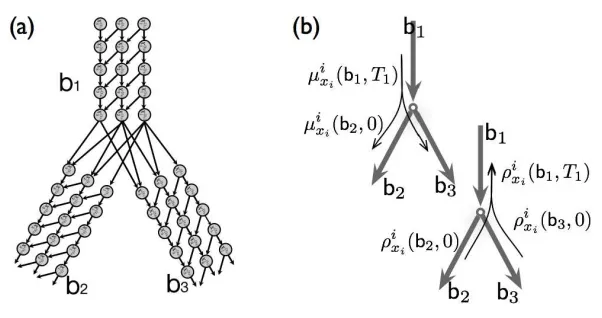 Figure 8: Structure of the branching process. (a) The discretized CTBN underlying the processin an intersection