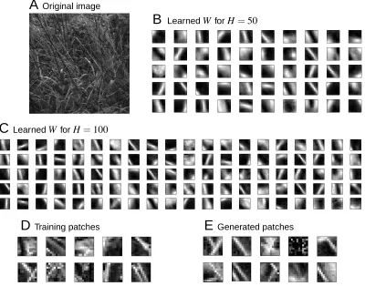 Figure 9: Application to visual data. A The 250-by-250 pixel image used as basis for the experi-ment