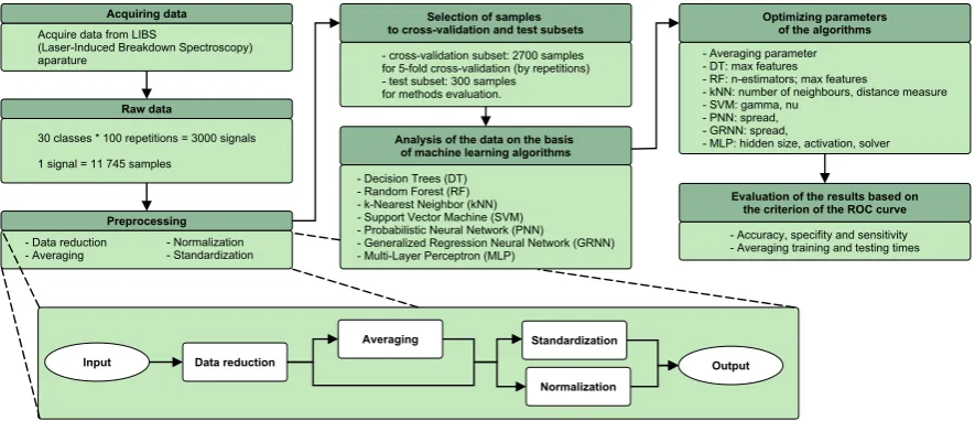 Figure 2. Flow chart of the experiment.