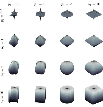 Figure 2: Variety of contours created by the Lp-nested function of Equation (1) for all combinationsof p/0, p1 ∈ {0.5,1,2,10}.