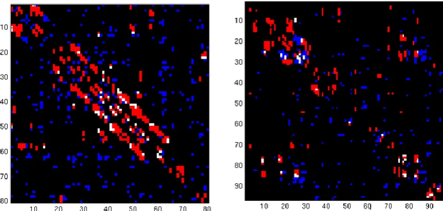 Figure 1 Adjacency matrices of two patients. Blue = PLI defined connectivity, Red = SPES stimulus-response relationship, White, occurrence of both PLI connectivity and SPES response